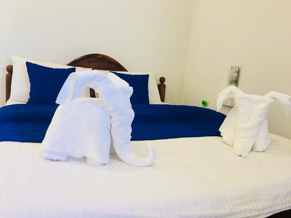 Blue Whale Holiday Hotelミリッサ エクステリア 写真