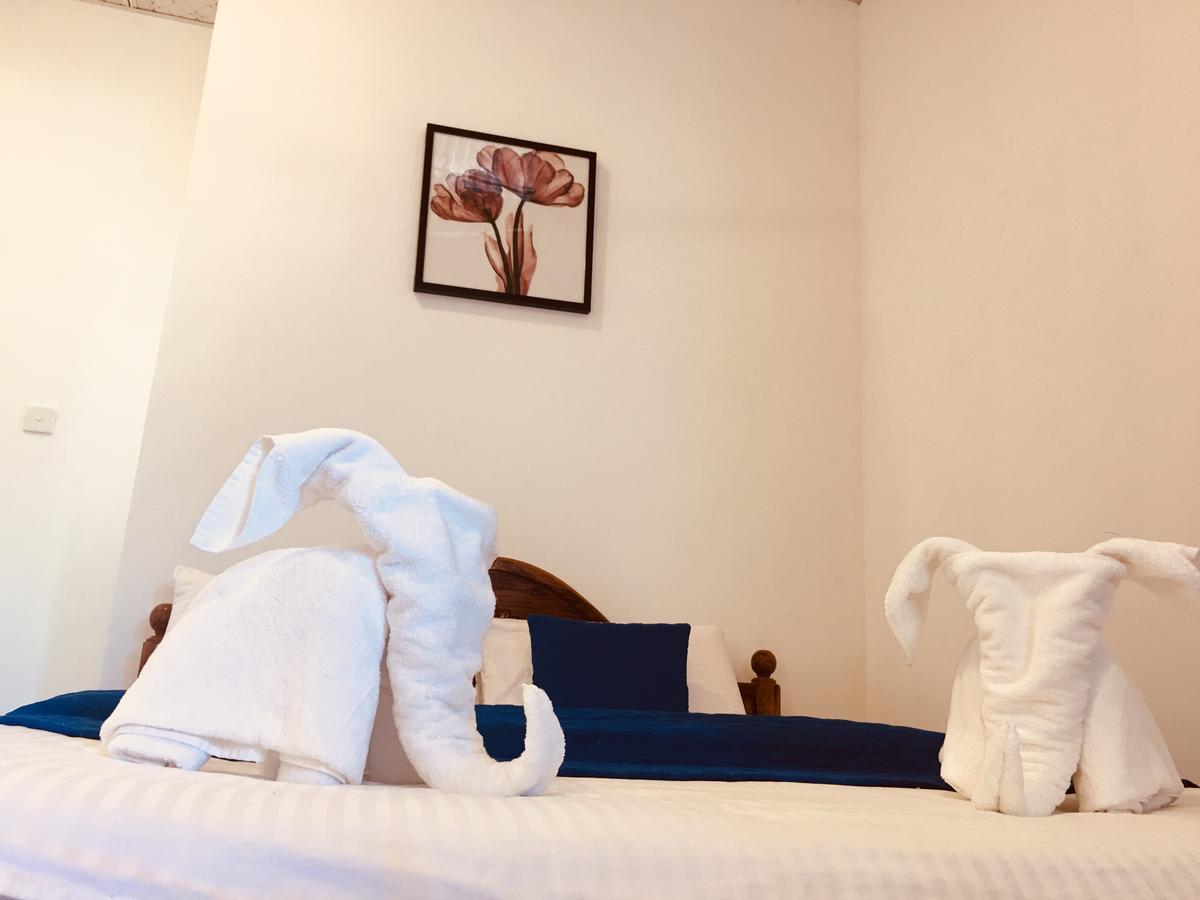 Blue Whale Holiday Hotelミリッサ エクステリア 写真
